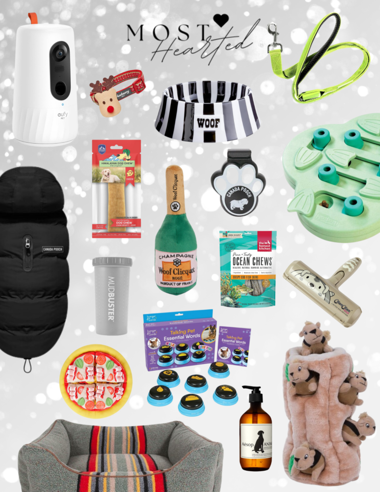 The Best Gifts for Dogs + Dog Parents