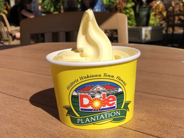 How To Make Hawaiian Dole Whip