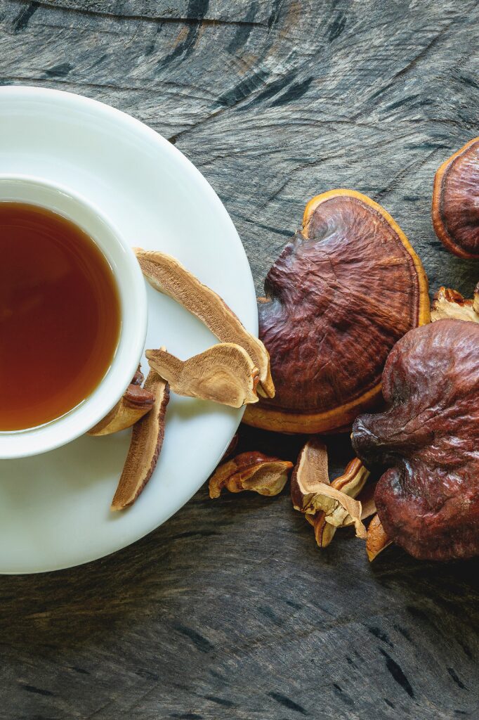 Reishi Mushrooms: The Ancient Wellness Secret You Need in Your Life